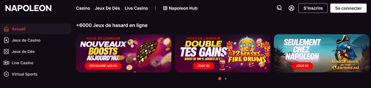 Page daccueil Napoleon